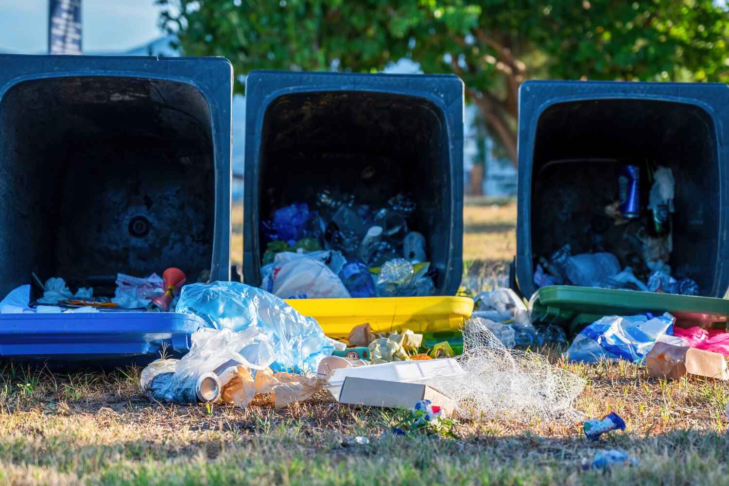 Debris Removal in Maud, TX